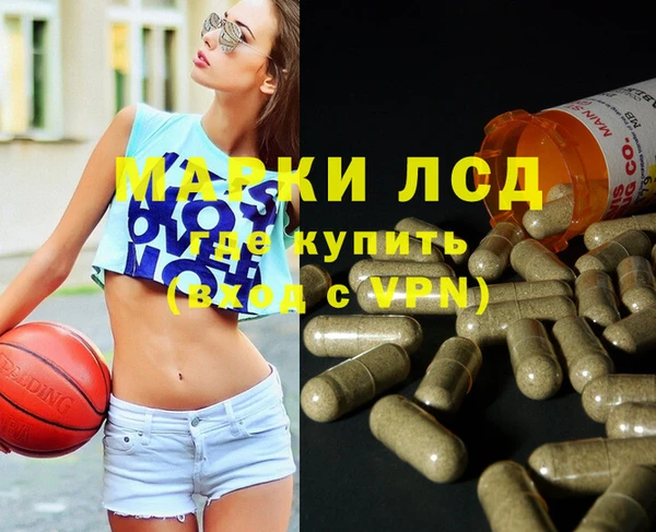 дмт Алзамай
