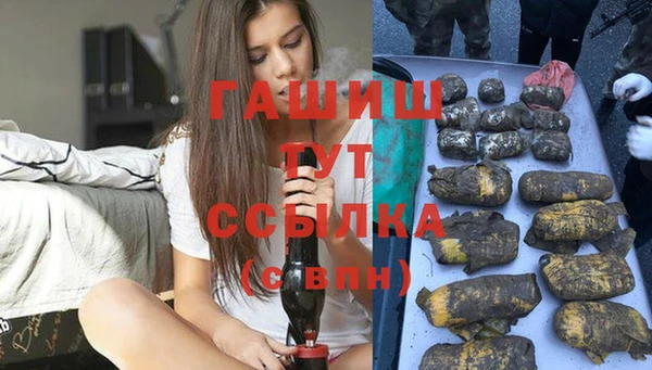 дмт Алзамай