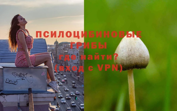 амф Абаза