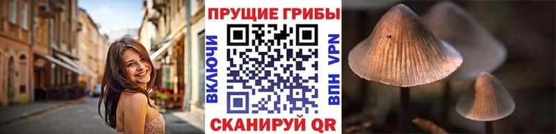 Псилоцибиновые грибы ЛСД  Петушки 